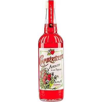 Dolin Chamberyzette a la Fraise 16% 0,75l