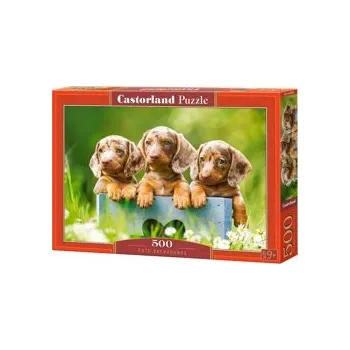 Puzzle Puzzle Castorland 500 dílků - Roztomilí jezevčíci