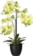 Gasper Orchidej umělá v plastovém květináči 65 cm zelená