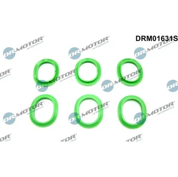 Automobilové těsnění Sada těsnění, koleno sacího potrubí Dr.Motor Automotive DRM01631S