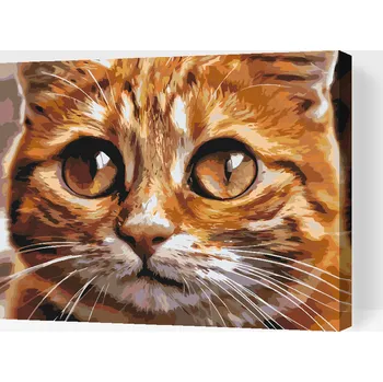 Malování podle čísel - Kočičí oči 2 Velikost: 30x40cm, Rámování: Pouze srolované plátno