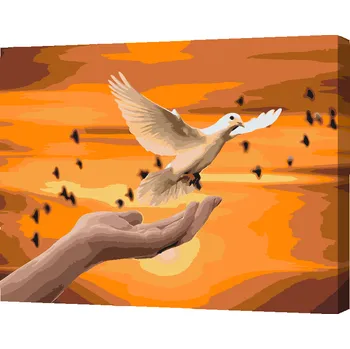 Malování podle čísel - Bílá holubice Velikost: 30x40cm, Rámování: Pouze srolované plátno