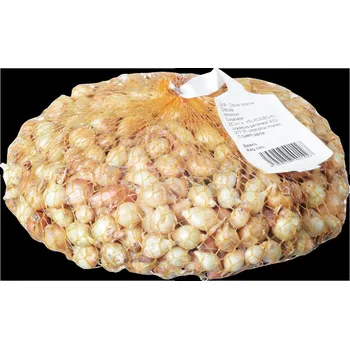 Forestina Štutgart cibule sazečka žlutá 250 g