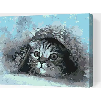Malování podle čísel - Schované kotě Velikost: 30x40cm, Rámování: Pouze srolované plátno