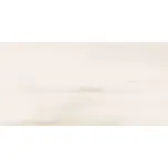 Obklad Rako Poem světle šedá 30x60 cm lesk WADVK575.1