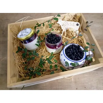 Jogurt ovocný - borůvka, 200 g