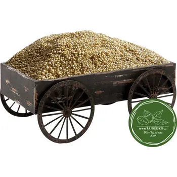 Quinoa bílá 1kg