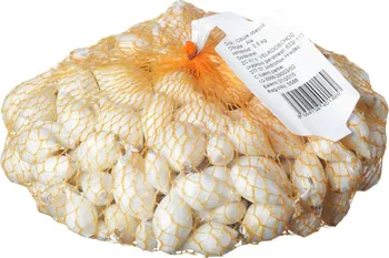 Cibulovina Snowball cibule sazečka bílá 7-14 mm 500 g