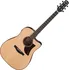 Akustická kytara Ibanez AAD300CE LGS