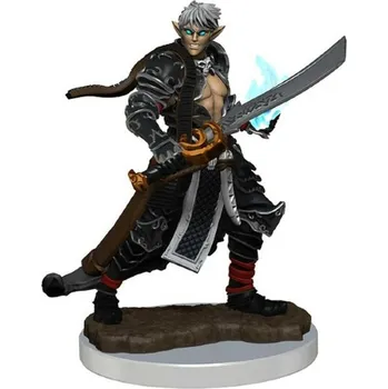 Desková hra WizKids Pathfinder Painted Premium: Male Elf Magus