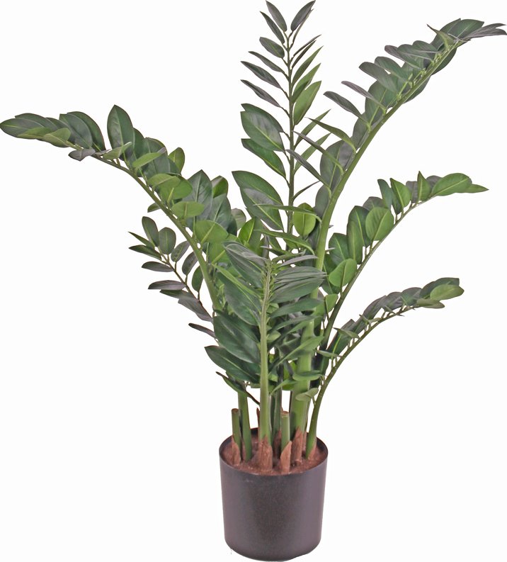 Umělá květina Zamiifolia - Zamioculcas LUX, 110cm
