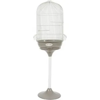 Zolux Arabesque Léonie