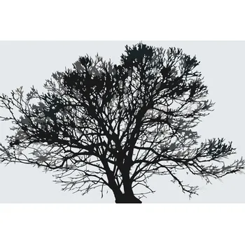 Malování podle čísel - Černobílý strom Velikost: 40x60cm, Rámování: Pouze srolované plátno