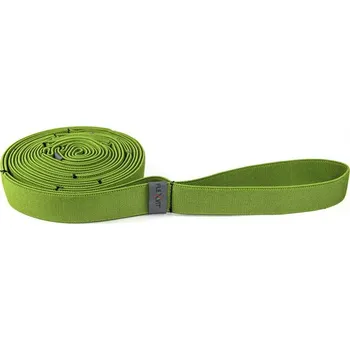 FLEXVIT Posilovací guma MultY