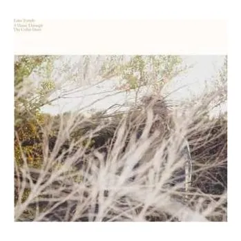 Zahraniční hudba LP Luke Temple: A Hand Through The Cellar Door 2021