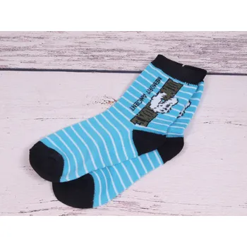 Ponožky Evona modré s nápisem s dinem velikosti ponožek: 15-17 (EUR vel. 23-26)