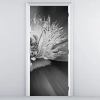 Fototapeta LuxusniObrazy.cz Fototapeta na dveře - Odkvetlá pampěliška