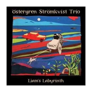 Zahraniční hudba CD Ostergren Stromkvist Trio: Liam's Labyrinth 2020