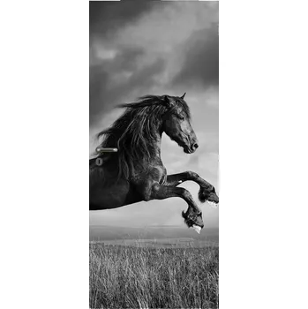 Fototapeta LuxusniObrazy.cz Fototapeta na dveře - Kůň