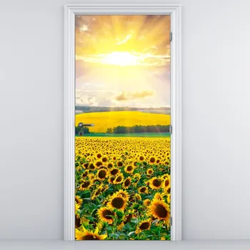 Fototapeta LuxusniObrazy.cz Fototapeta na dveře - Pole Slunečnic