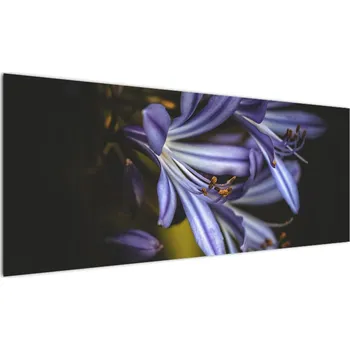 Obraz LuxusniObrazy.cz Obraz - Lila