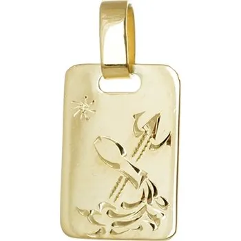 Přívěsek Přívěšek znamení Vodnář ze žlutého zlata ZZ0805VODMZLF + dárek zdarma