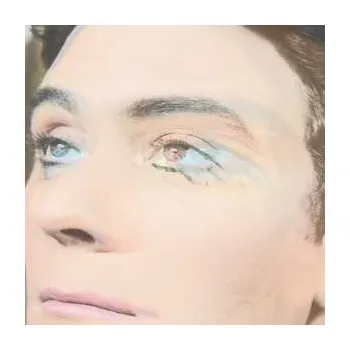 Zahraniční hudba CD The Ruby Suns: Christopher 2013