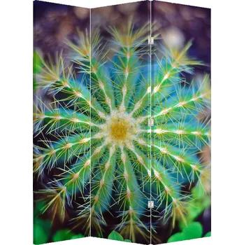 Paraván LuxusniObrazy.cz Paraván - Kaktus