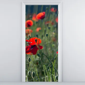 Fototapeta LuxusniObrazy.cz Fototapeta na dveře - Louka s Vlčími máky