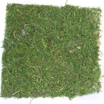 umělá květina Flat mech 38x38 cm