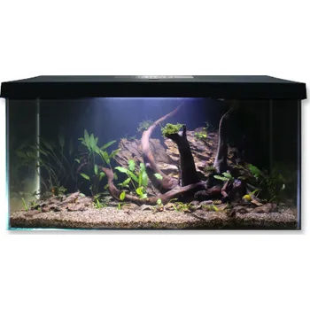 Akvárium Kompletní akvarijní sada 54 l Black Dragon