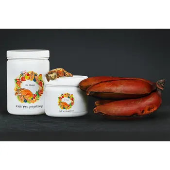 Krmivo pro terarijní zvíře Dr. Rhaco Kaše pro pagekony Červený banán Hmotnost: 55g