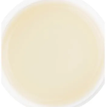 Přípravek na nehty X-NAILS podkladový UV gel Classic Line, 5 ml - UV BASE GEL