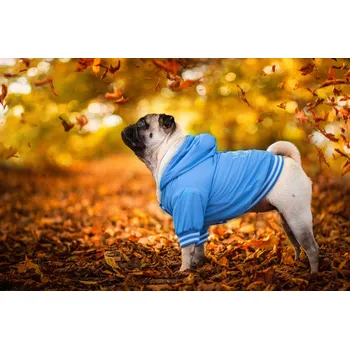 Obleček pro psa Vsepropejska Big dog zimní bunda pro psa Barva: Modrá, Délka zad (cm): 30, Obvod hrudníku: 44 - 49 cm