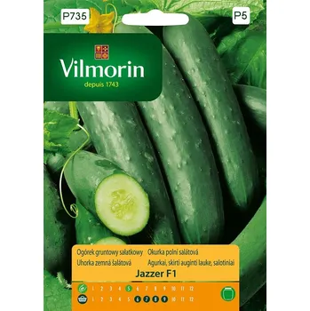 Semeno Okurka polní salátová Jazzer F1