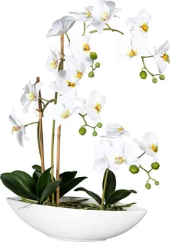 Umělá květina Gasper Orchidej můrovec bílý v misce 60 cm