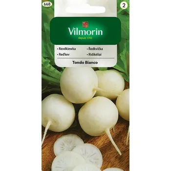 Semeno Ředkvička Tondo Bianco (bílá)