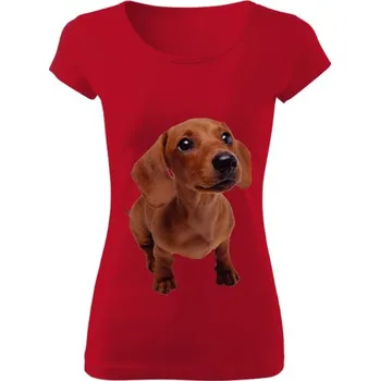 Dámské tričko Tričko s potiskem jezevčík6 dámské