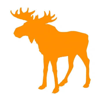 Samolepící dekorace SAMOLEPKA Los 002 levá (06 - oranžová) NA AUTO, NÁLEPKA, FÓLIE, POLEP, TUNING, VLASTNÍ TEXT, TISK, AUTOSAMOLEPKY.cz, POLEPY, OBRÁZEK, LOGO, SAMOLEPKY