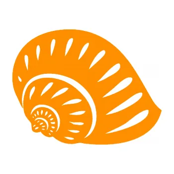 Samolepící dekorace SAMOLEPKA Mušle 004 pravá ulita (06 - oranžová) NA AUTO, NÁLEPKA, FÓLIE, POLEP, TUNING, VLASTNÍ TEXT, TISK, AUTOSAMOLEPKY.cz, POLEPY, OBRÁZEK, LOGO, SAMOLEPKY