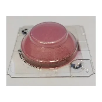 Tvářenka Bourjois tvářenka Fard Pastel Blush 34 2,5 g - TESTER