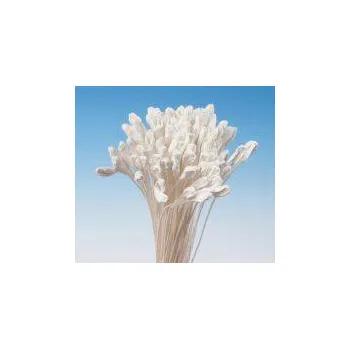 Pestíky Lilie bílé svazek - Hamilworth