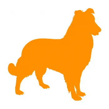 Polep vozidla SAMOLEPKA Pes 084 pravá Kolie (06 - oranžová) NA AUTO, NÁLEPKA, FÓLIE, POLEP, TUNING, VLASTNÍ TEXT, TISK, AUTOSAMOLEPKY.cz, POLEPY, OBRÁZEK, LOGO, SAMOLEPKY