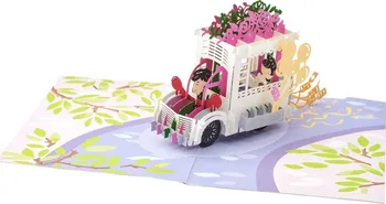 Magic Moments 3D Přání svatební automobil