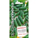 Dobrá semena Santana F1 okurka…