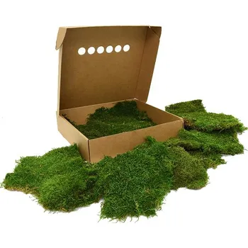 Rám na obraz Stabilizovaný mech Forest Moss Box 70x70 cm - Do interiéru