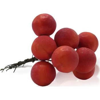 umělá květina BD-Tova Dekorační lakované broskve - 10 ks