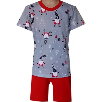 Chlapecké pyžamo Dětské Pyžamo FOLTÝN DP137 Velikost: 134