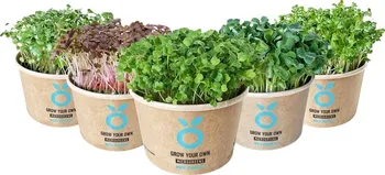 Semeno Grown Grow Kit - sada pro pěstování microgreens
