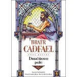 Hrnčířovo pole - Ellis Peters (2022,…